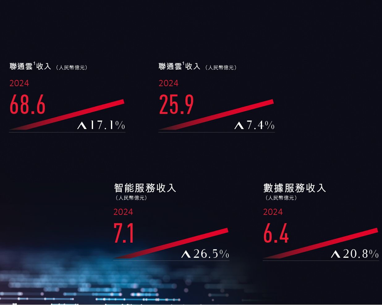 中國聯通 2024 年報